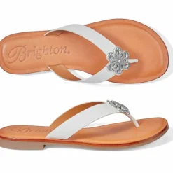 Brighton Aster Flower Thongs Outlet