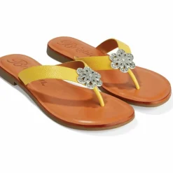 Brighton Aster Flower Thongs Outlet