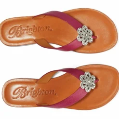 Brighton Aster Flower Thongs Outlet