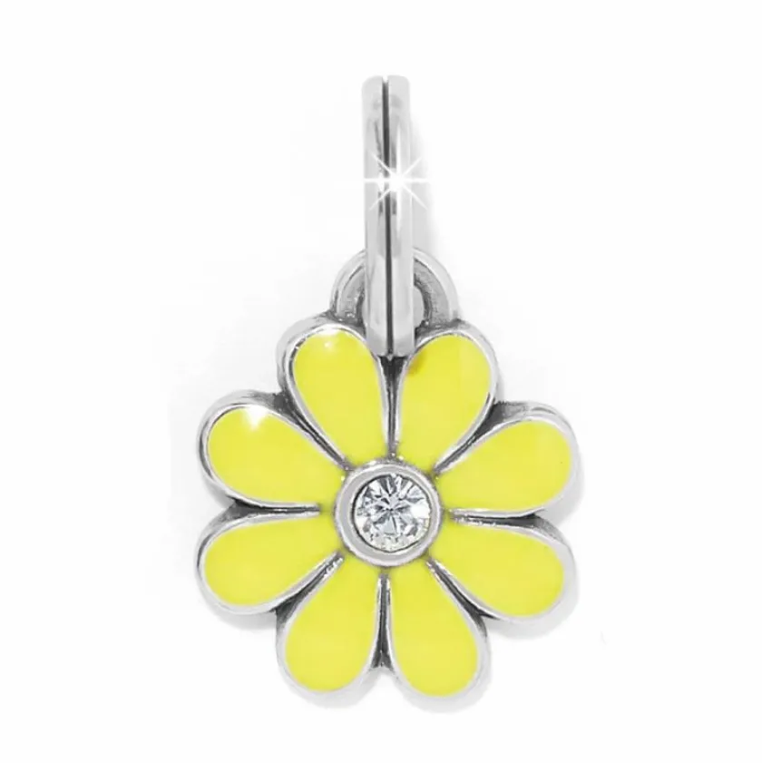 Brighton Daisy Charm Hot