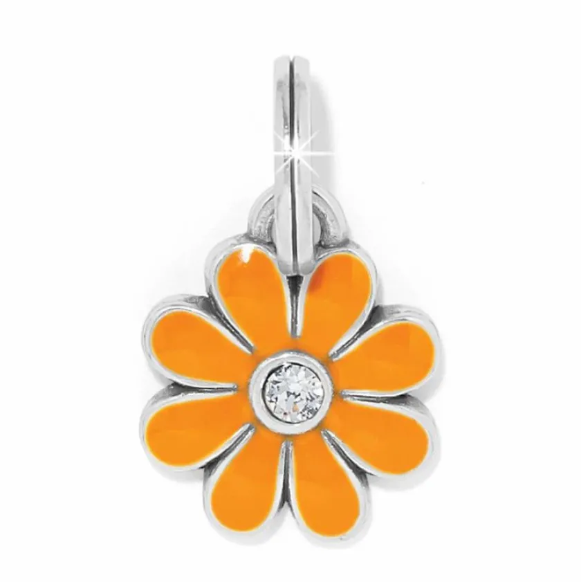 Brighton Daisy Charm Hot