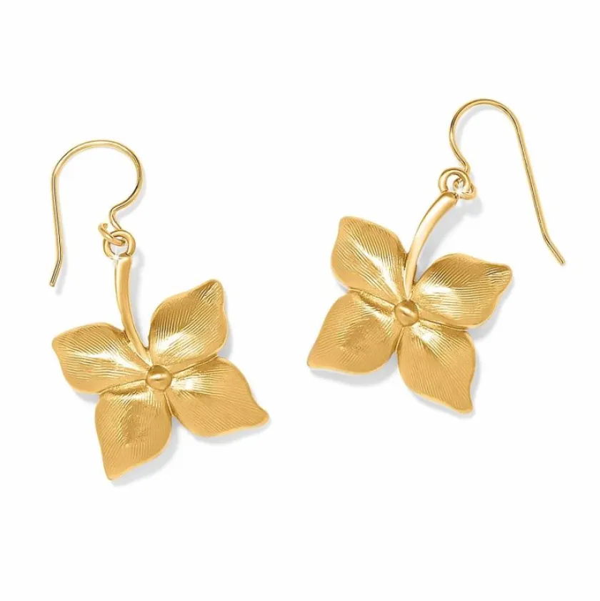 Brighton Everbloom Flower French Wire Earrings Clearance