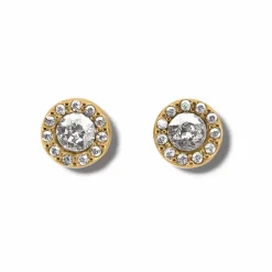 Brighton Illumina Solitaire Post Earrings New