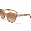 Brighton Interlok Braid Sunglasses Online