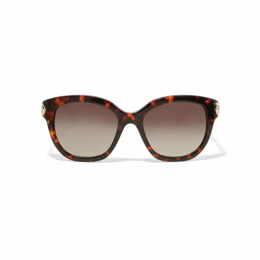 Brighton Intrigue Tortoise Sunglasses Amber Online