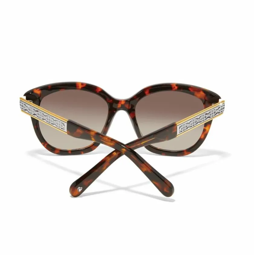 Brighton Intrigue Tortoise Sunglasses Amber Online