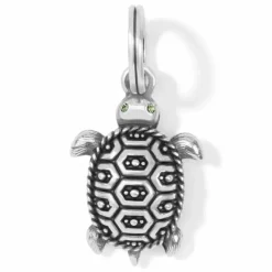 Brighton Pismo Turtle Charm Silver Best